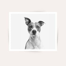 Load image into Gallery viewer, 6x4" Black & White Photo Prints