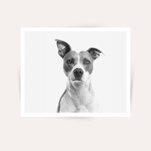 Load image into Gallery viewer, 6x4&quot; Black &amp; White Photo Prints
